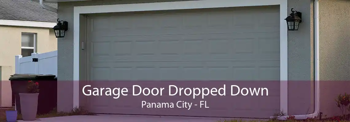 Garage Door Dropped Down Panama City - FL