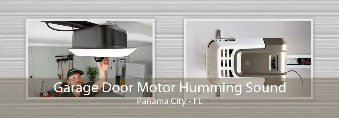 Garage Door Motor Humming Sound Panama City - FL