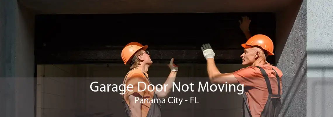 Garage Door Not Moving Panama City - FL