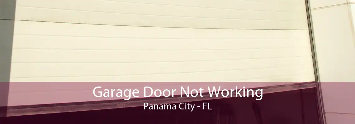 Garage Door Not Working Panama City - FL