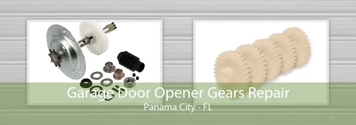 Garage Door Opener Gears Repair Panama City - FL