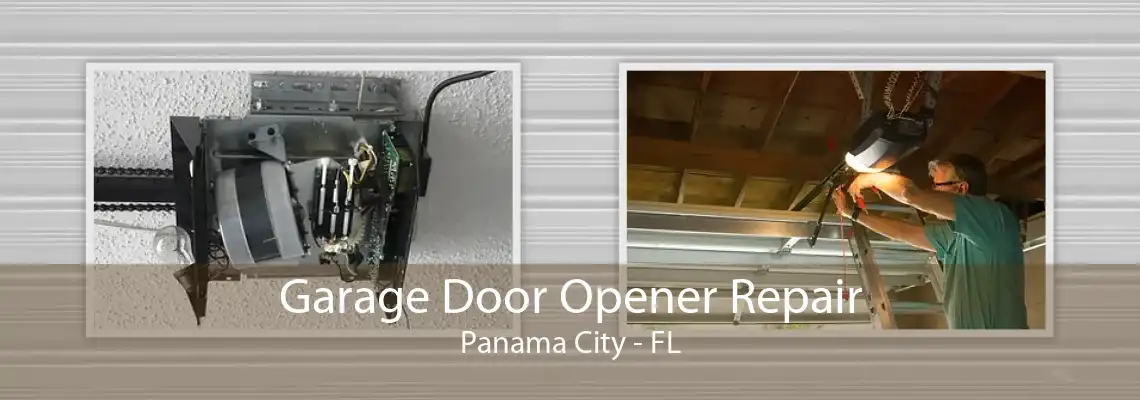 Garage Door Opener Repair Panama City - FL