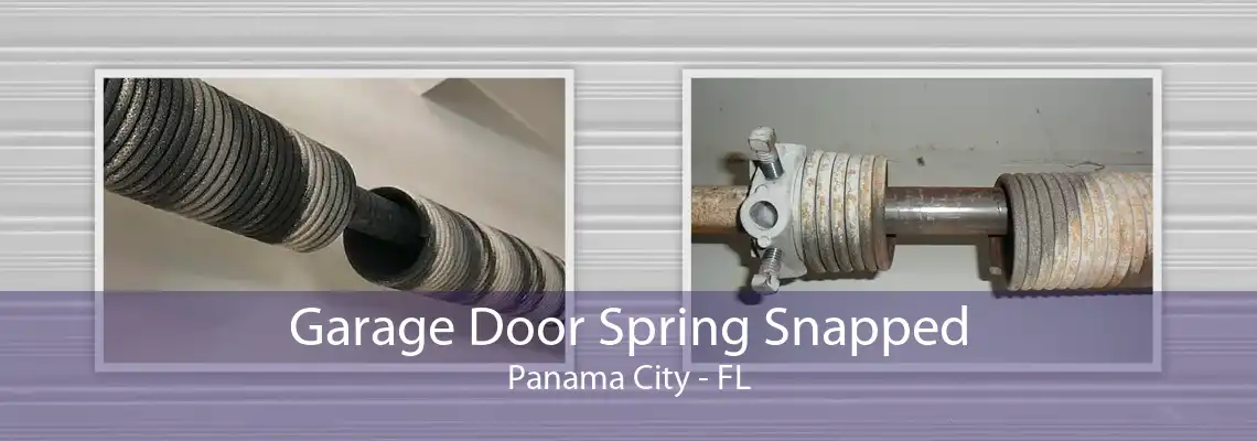 Garage Door Spring Snapped Panama City - FL