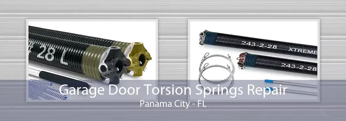 Garage Door Torsion Springs Repair Panama City - FL