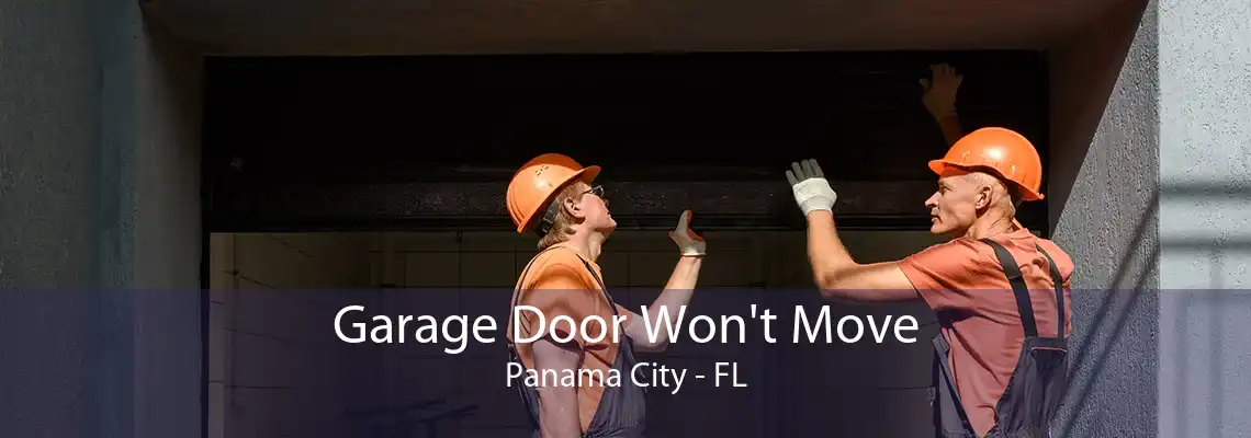 Garage Door Won't Move Panama City - FL