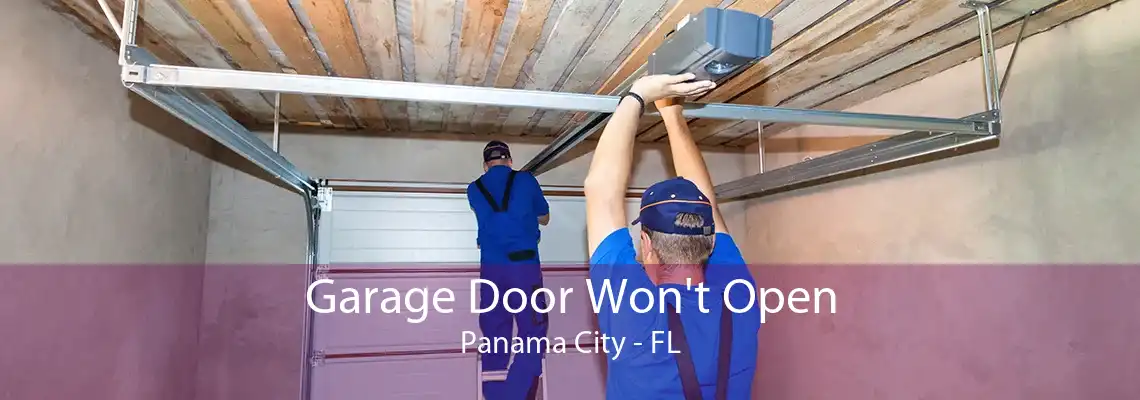 Garage Door Won't Open Panama City - FL