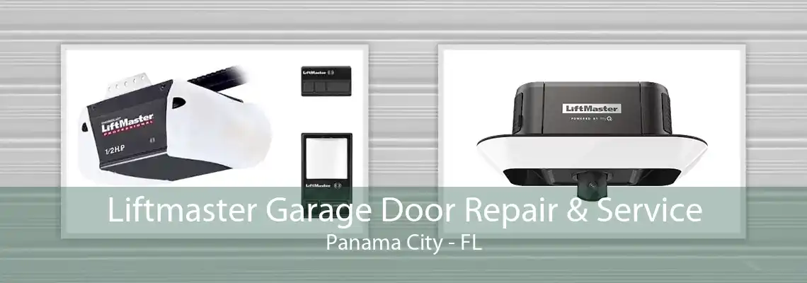 Liftmaster Garage Door Repair & Service Panama City - FL